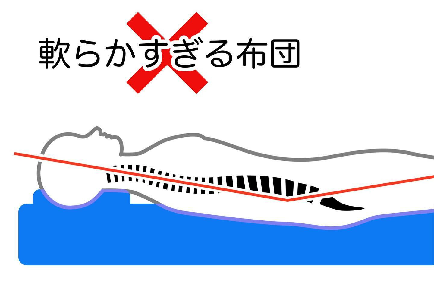 ✨🌙どんな姿勢でお休みですか？🛌💤