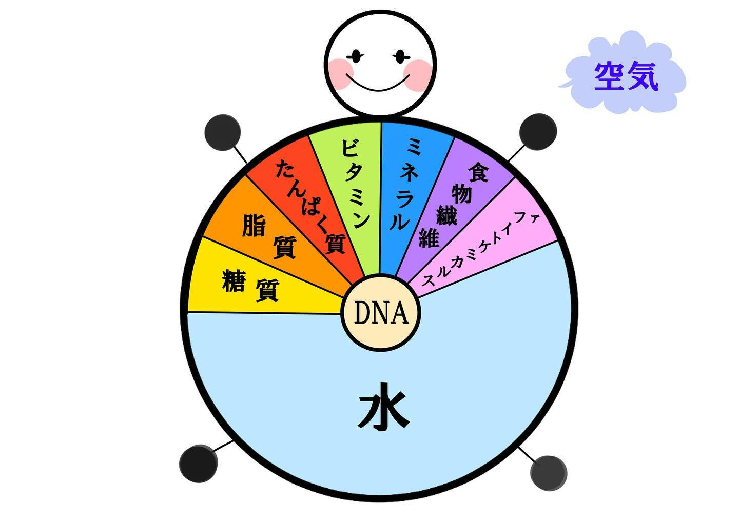 毎日の生活で健康維持のためには、７大栄養素をバランスよく摂取...