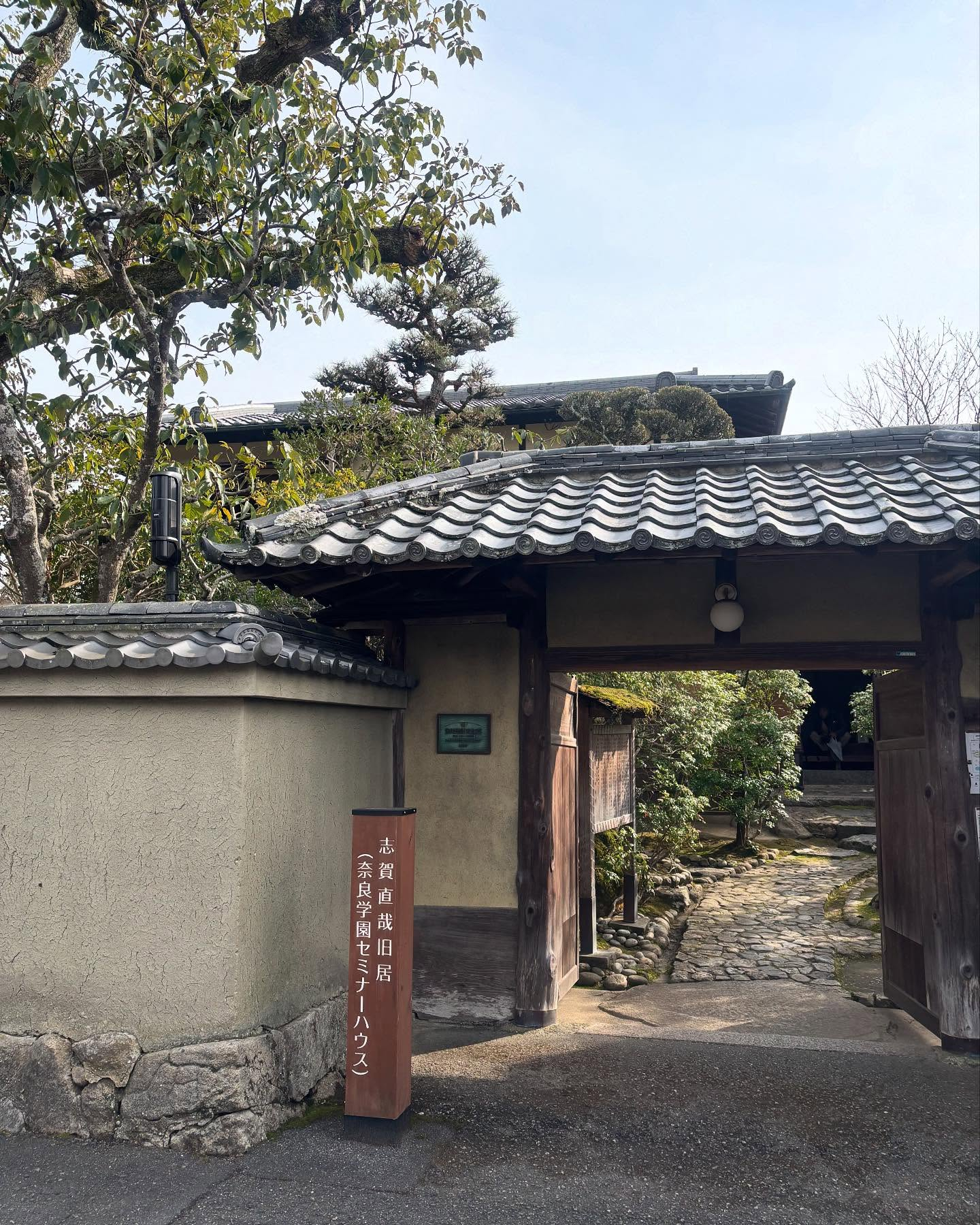 奈良公園の鹿と東大寺。