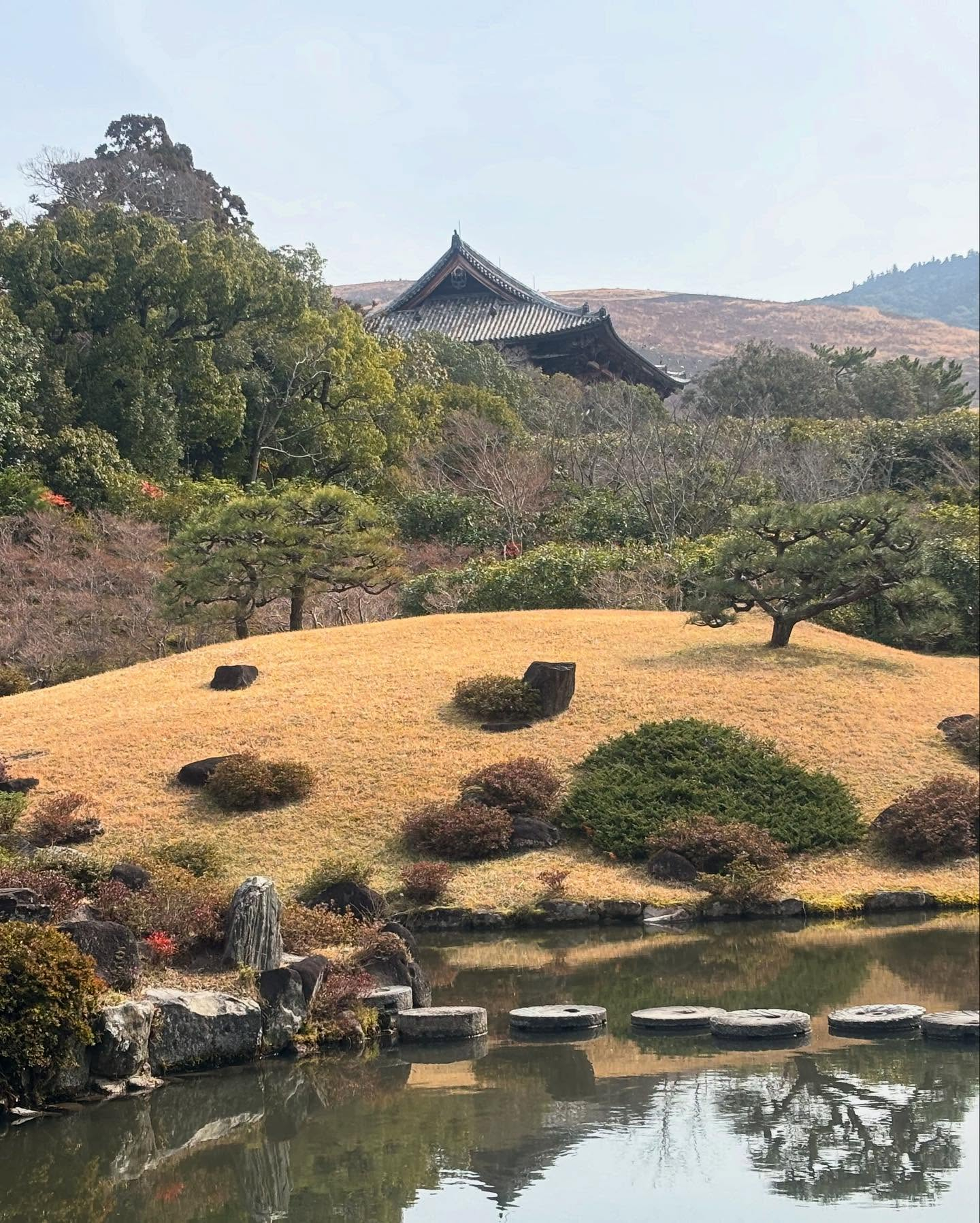 奈良公園の鹿と東大寺。