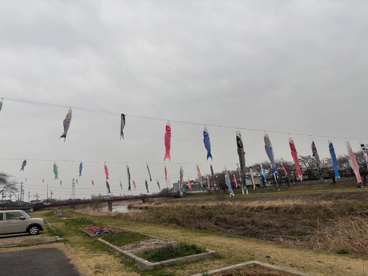 こんにちは、みなさん🌟我が家の近く、垂井町の相川公園です。