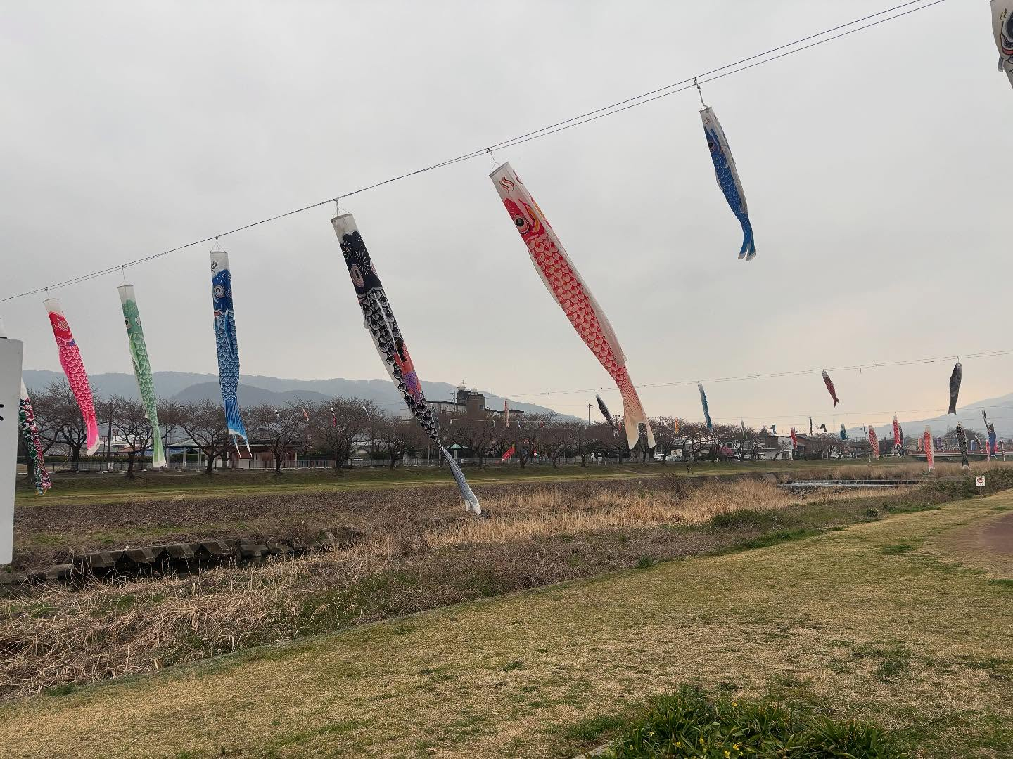 こんにちは、みなさん🌟我が家の近く、垂井町の相川公園です。