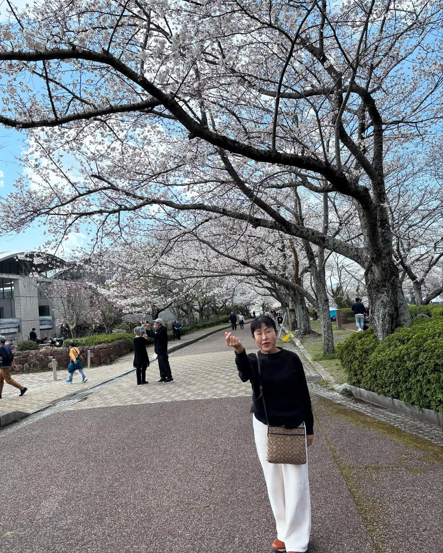 自然美を感じながら、心と体のバランスを整えませんか?🌸