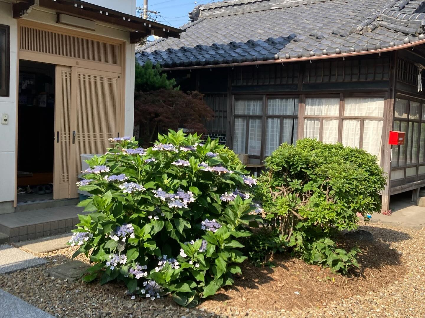 おはようございます🌞✨カイロプラクティックで、健康的な一日を...