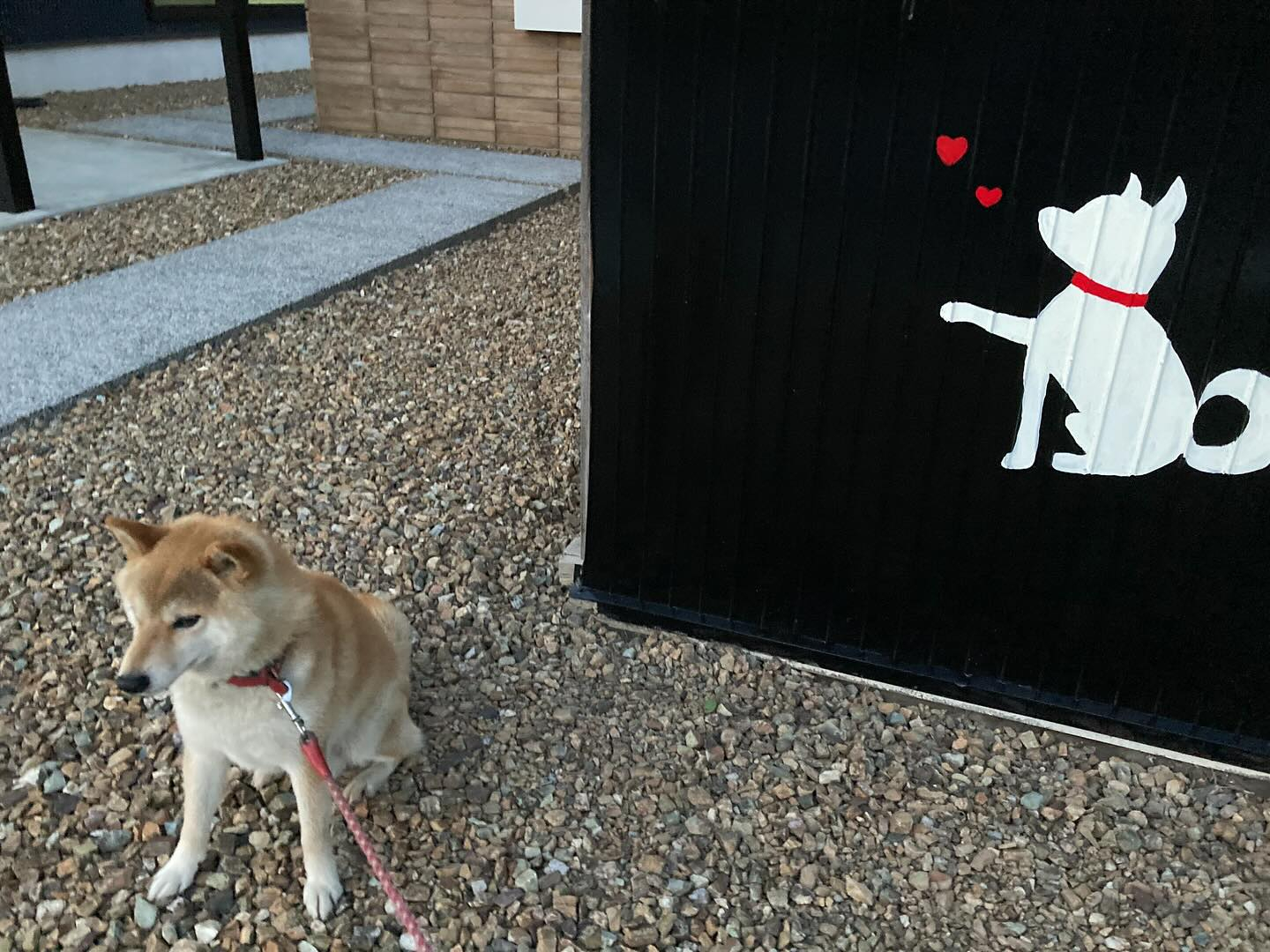 おはようございます🌞✨カイロプラクティックで、健康的な一日を...