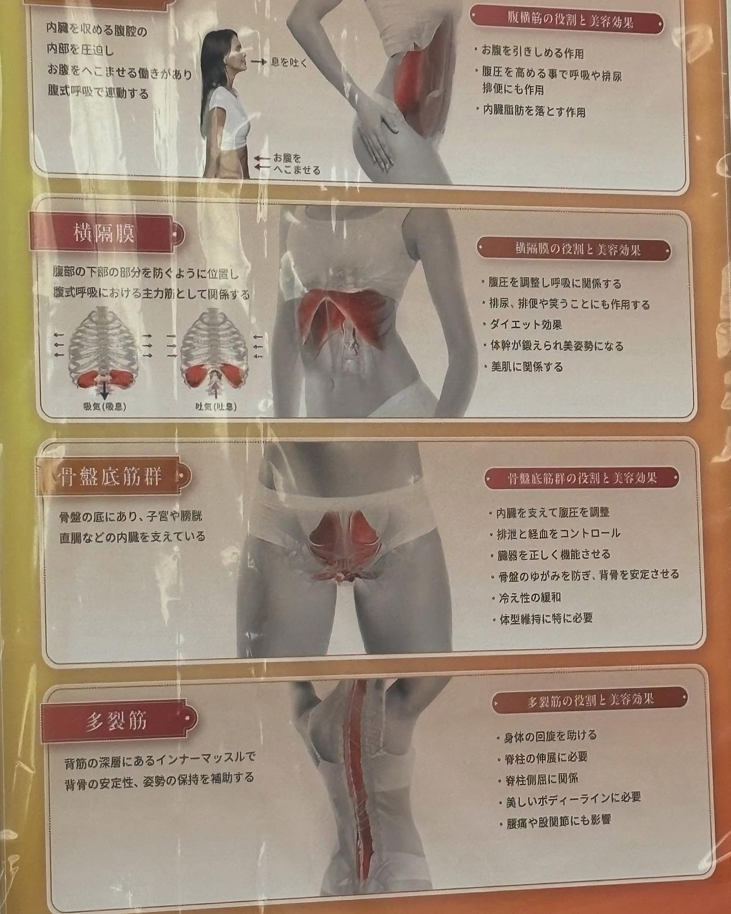 今日は午後から美容カイロの講義があります!🕒✨美容カイロって...