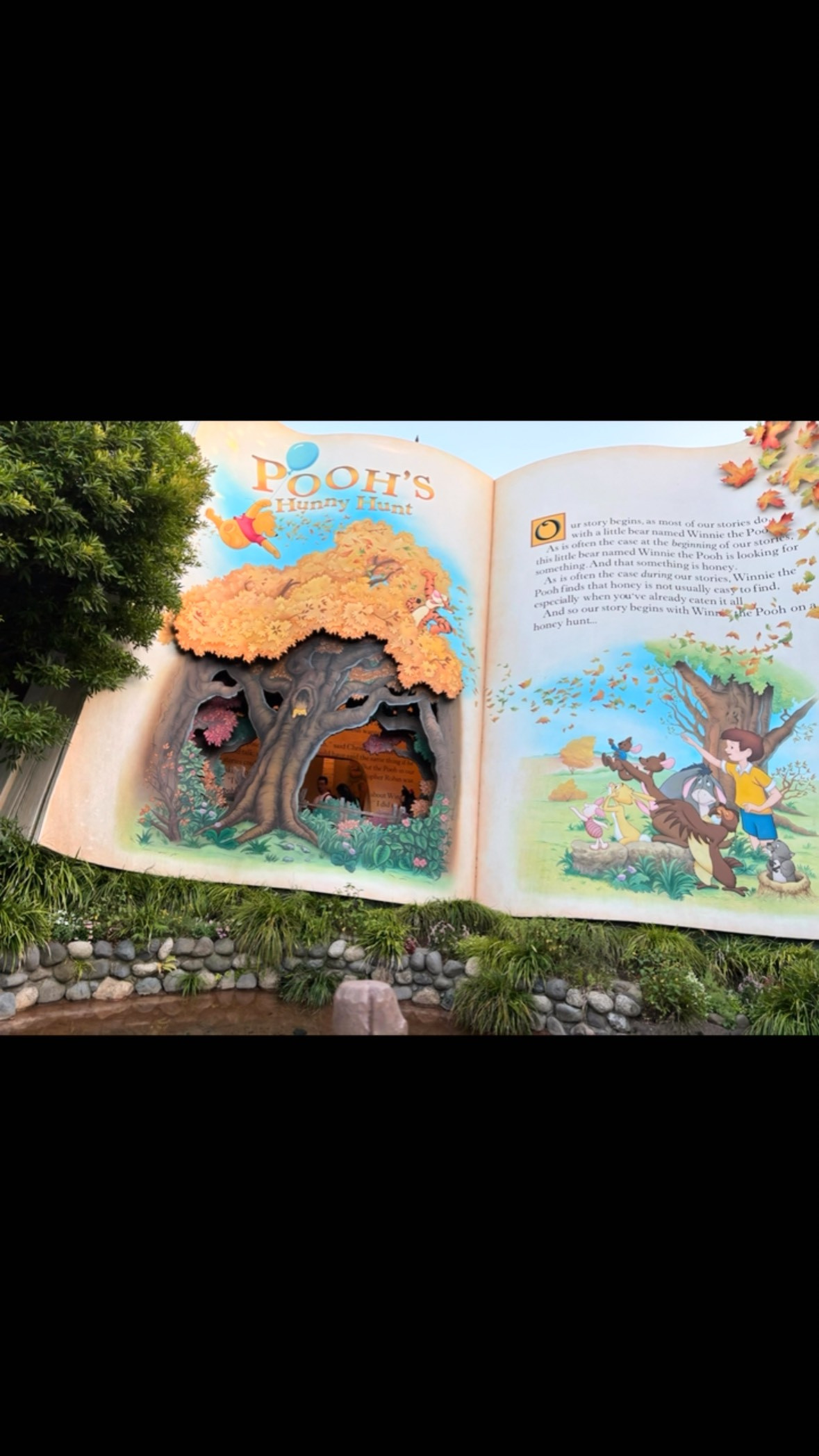 写真はディズニーランドのランチ後のデザートです。
