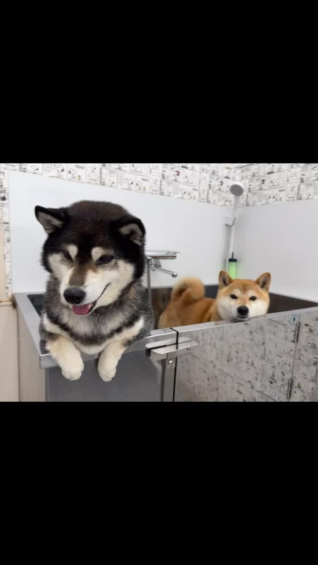 今日は、春に向けて新しいスタートを切るのにぴったりの時期！✨...