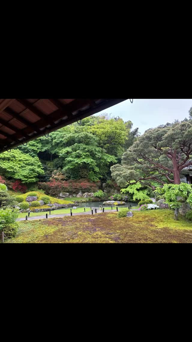 昨日は雨の京都東山を散策しながら、青蓮院、知恩院、高台寺を訪...