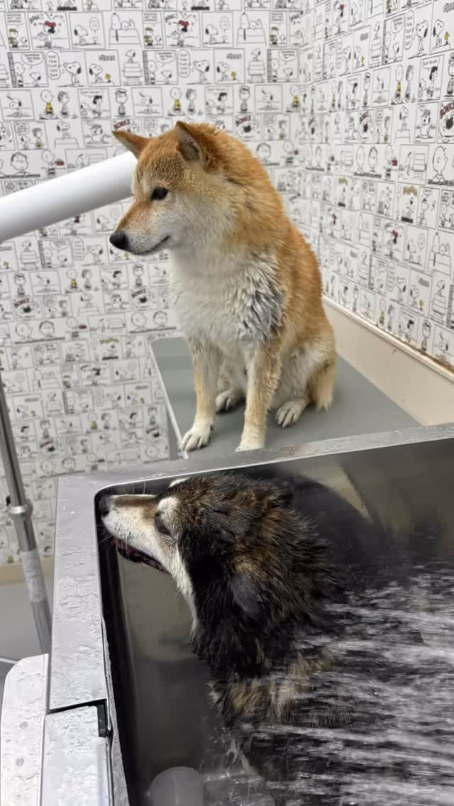 暑い日が続いていますね🌞