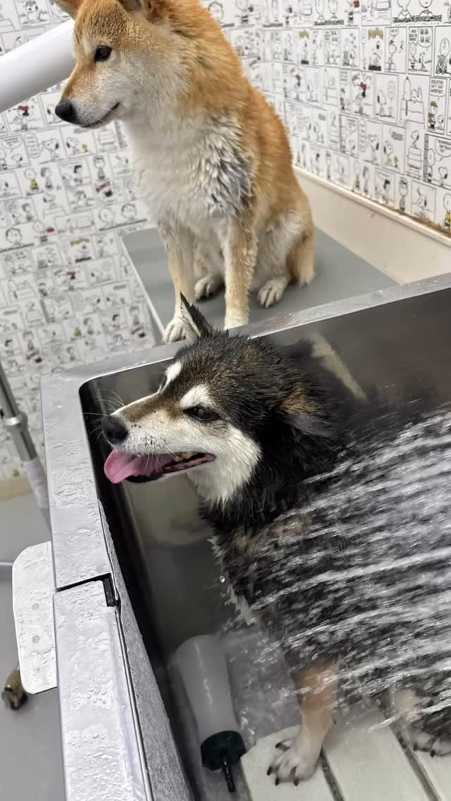暑い日が続いていますね🌞